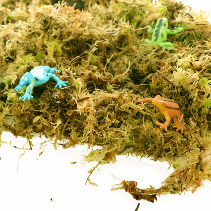 Komodo Habitat Moss 3l - live sphagnum moss 400g